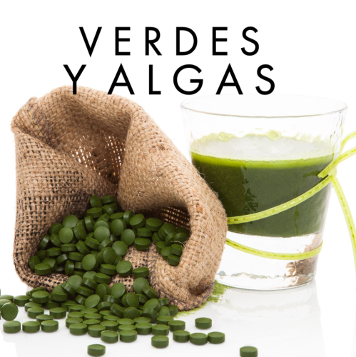 VERDES Y ALGAS