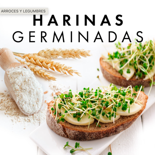 HARINAS GERMINADAS