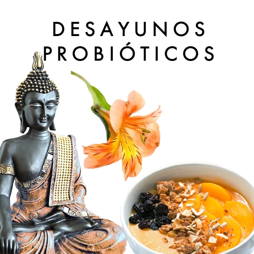 DESAYUNOS PROBIÓTICOS